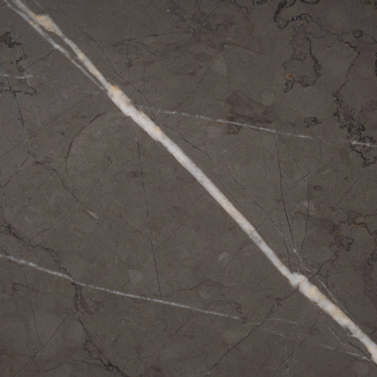Duvall Console Table close-up showing warm gray Petra Grey marble with a bold white vein, amber flecks, and fine dark tracery on a honed surface.