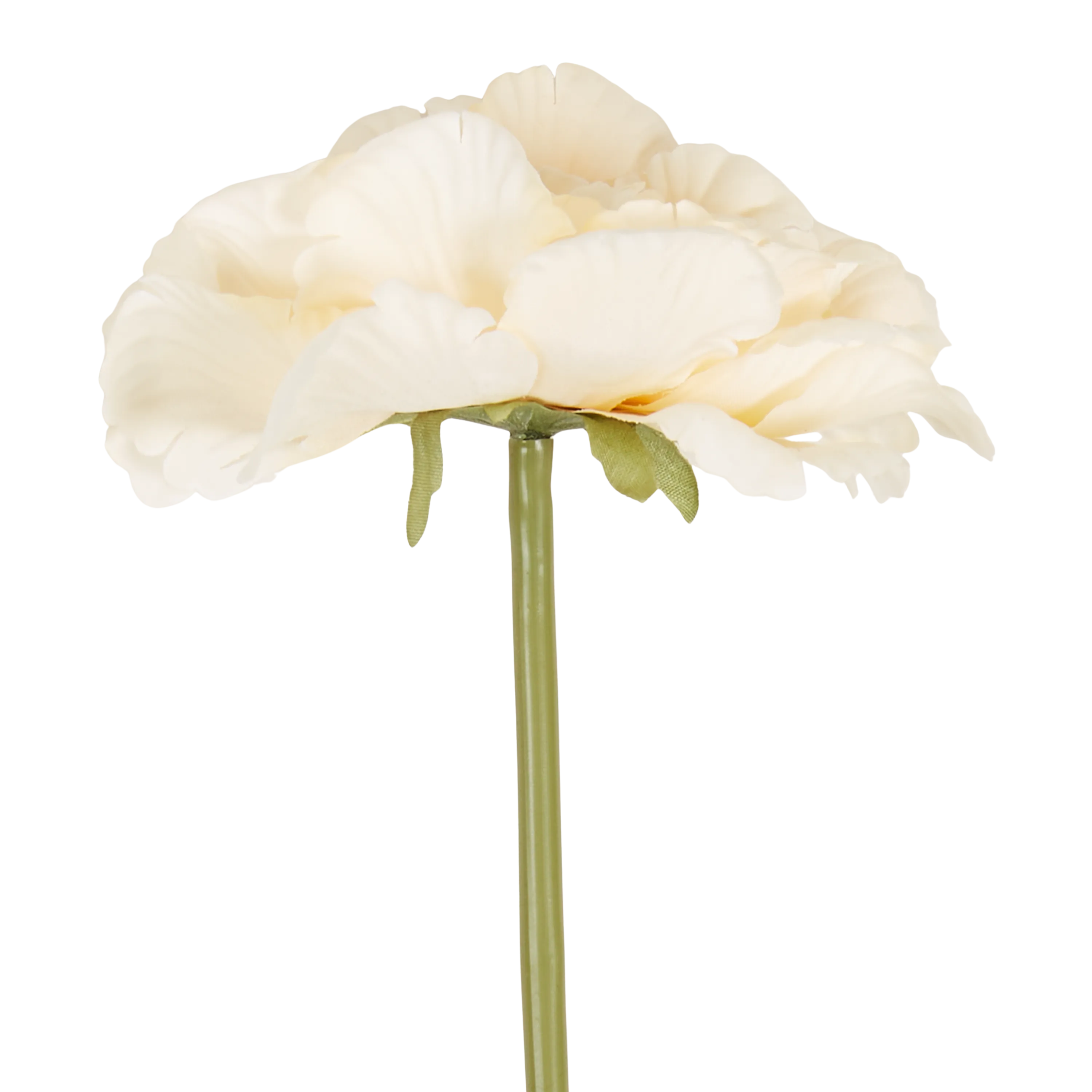 Peony Garden Stem