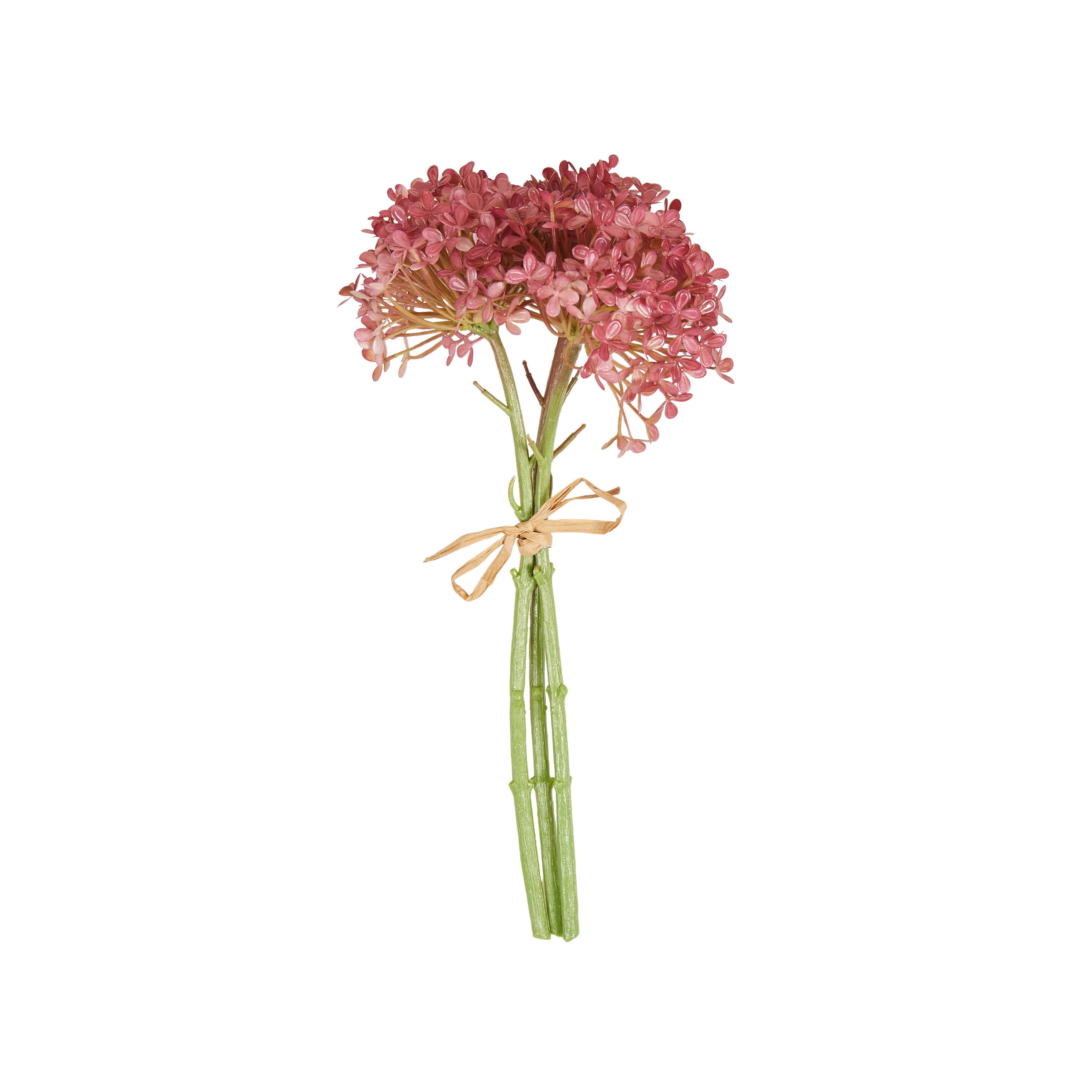 Hortensia Bunch