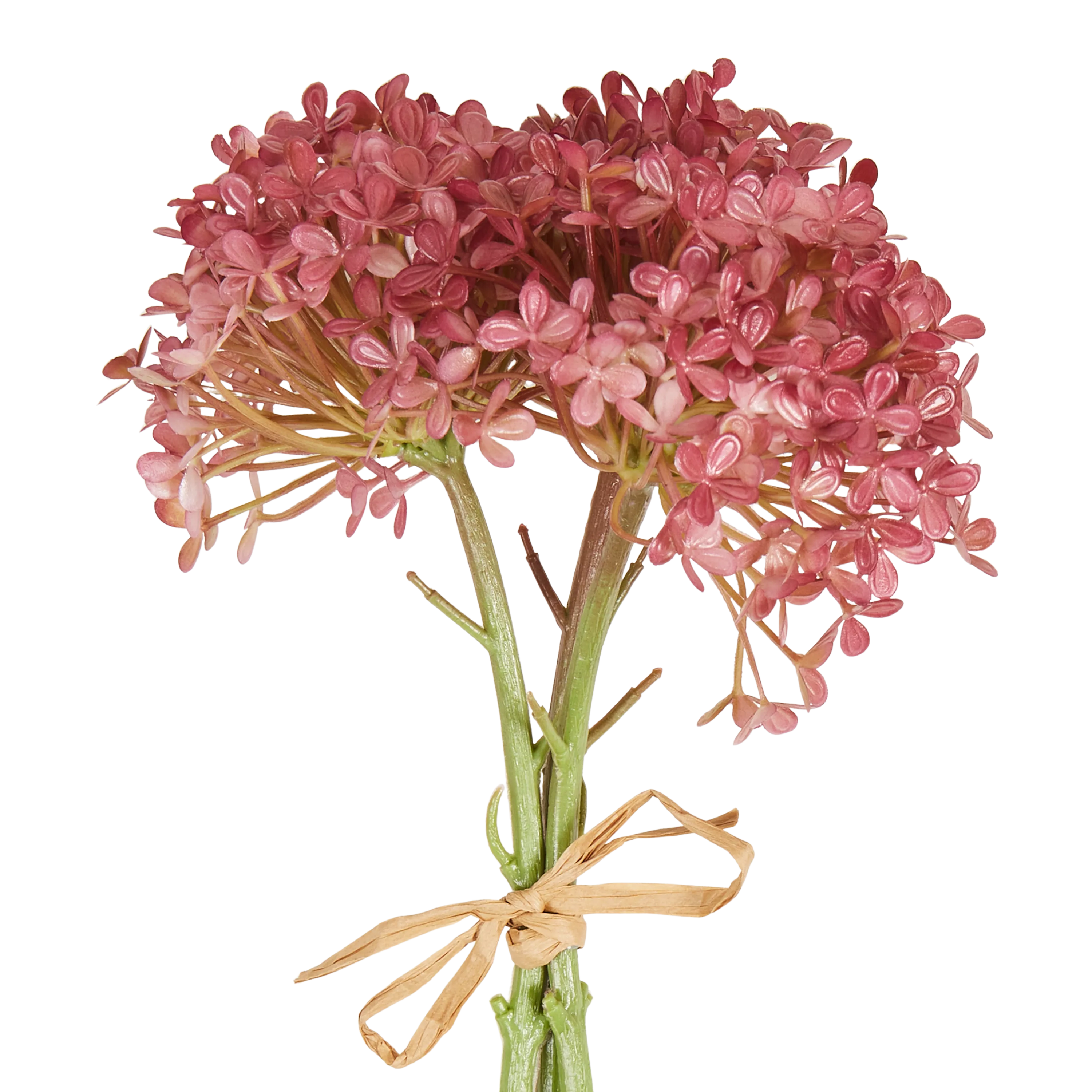 Hortensia Bunch