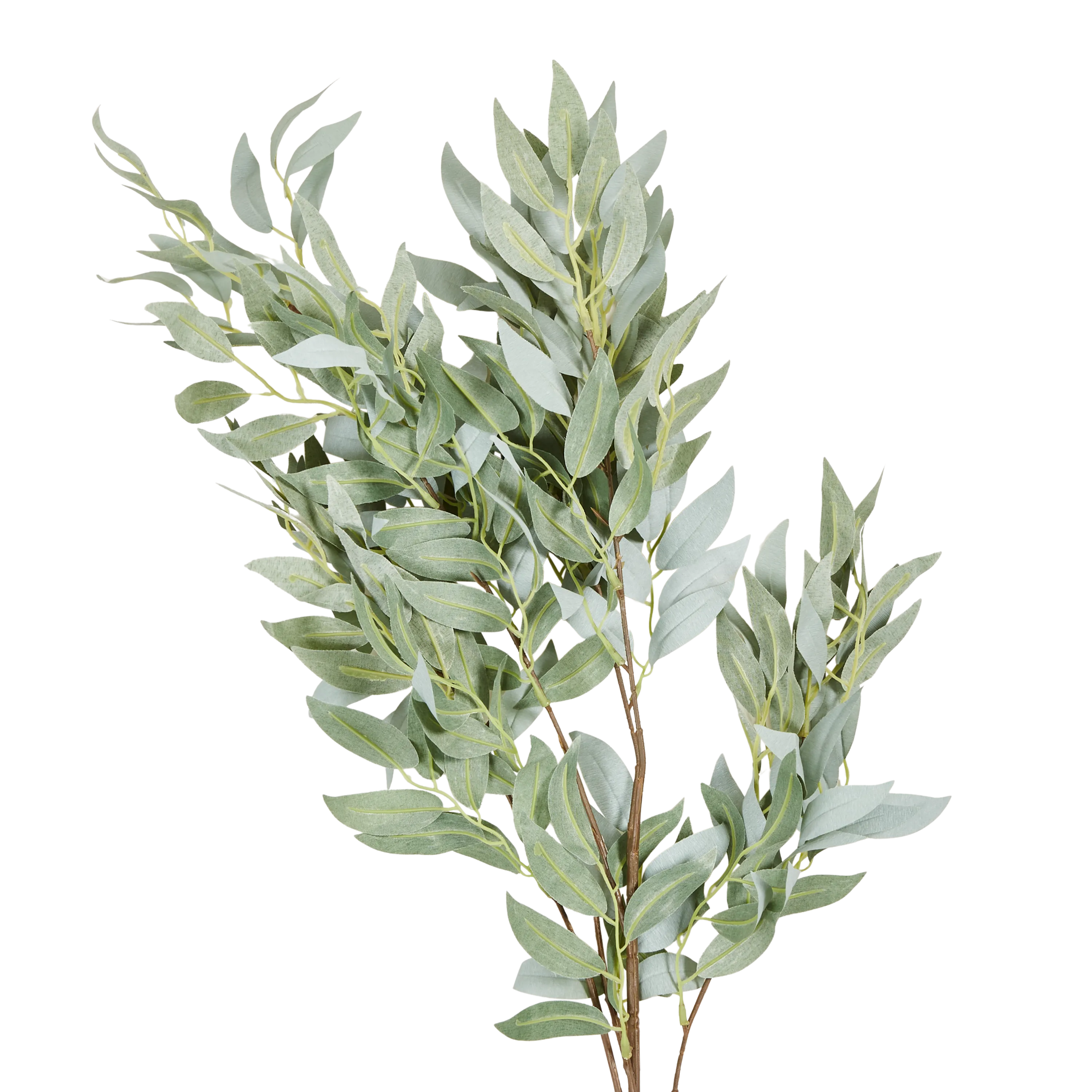 Willow Stem