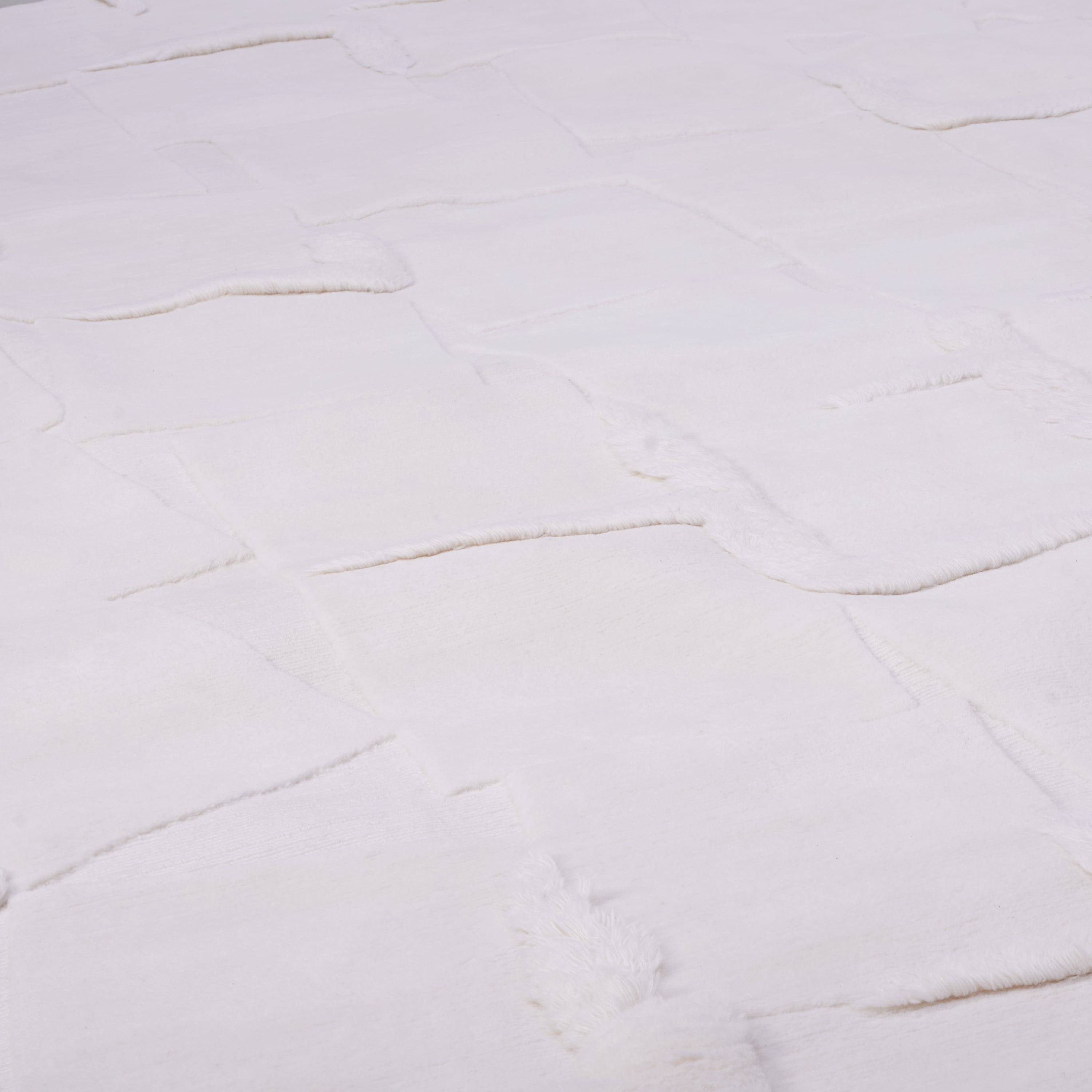 Coralyn Ivory