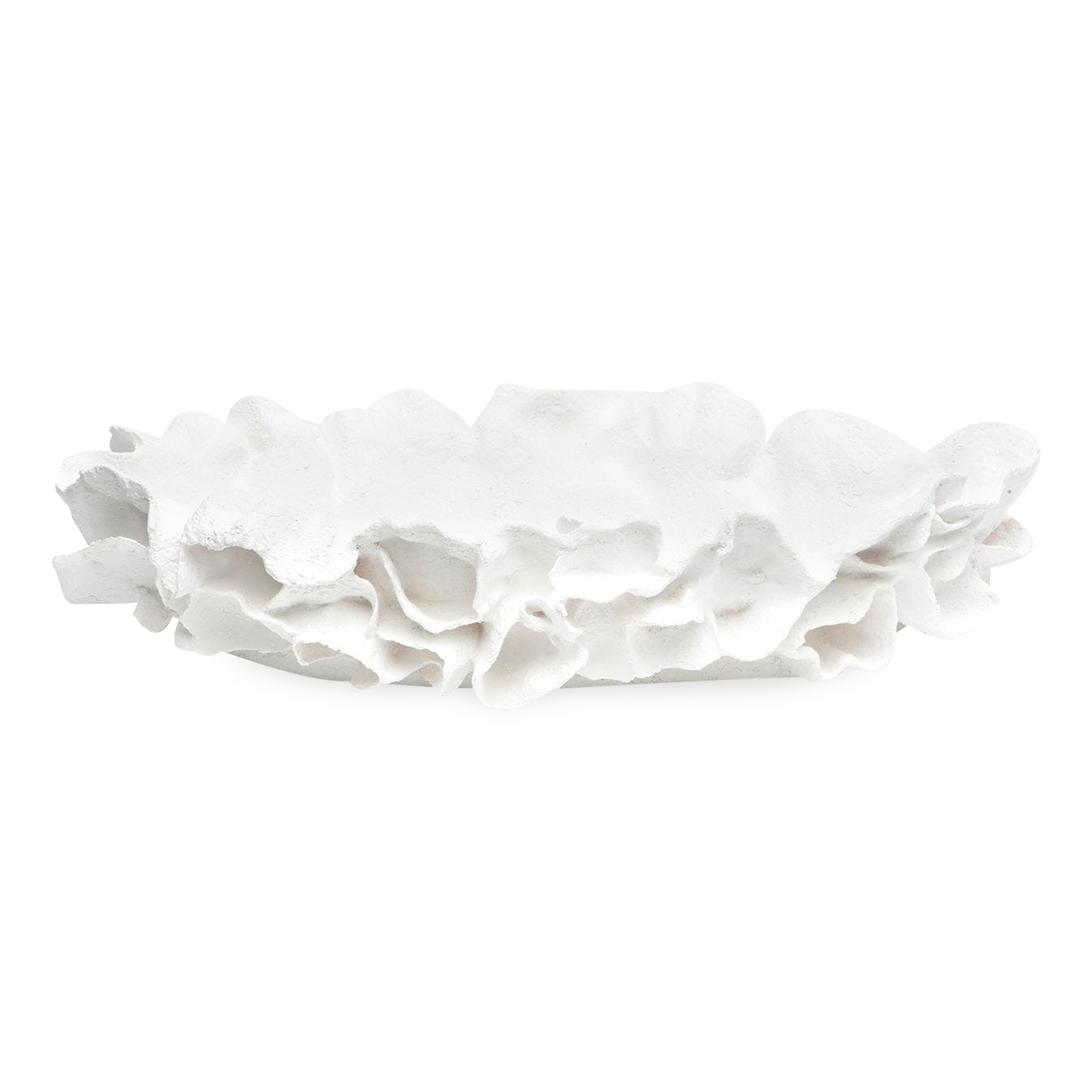 This Coco Tray is artfully reproduced coral in the shape of a tray.