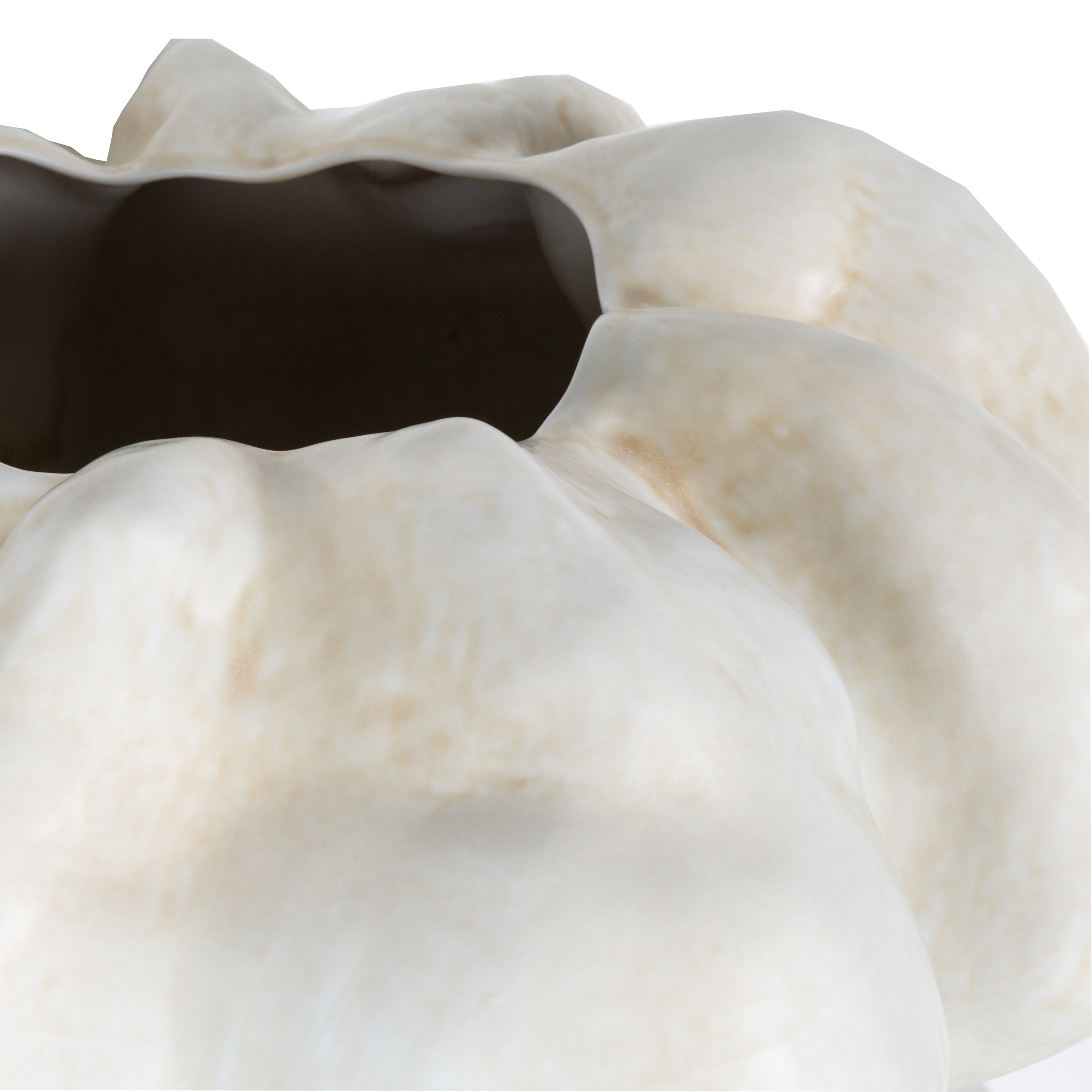 Timna Vase