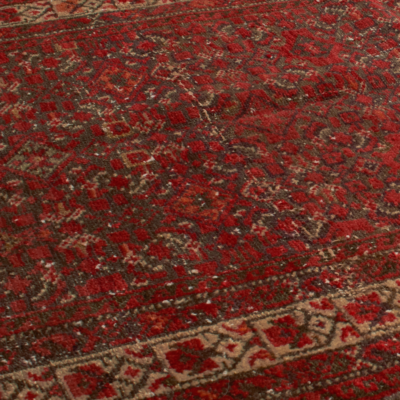 For generations, Elte has worked with expert local rug pickers throughout Morocco, Iran, Turkey and Europe to source vintage and antique rugs.