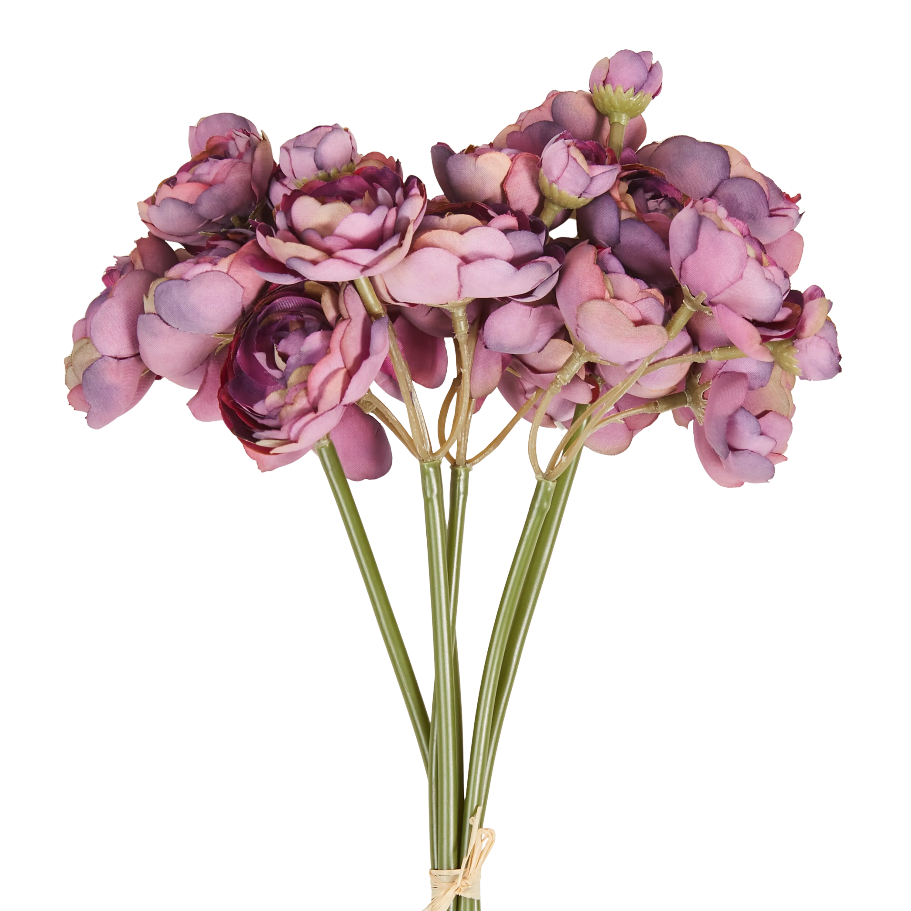 Ranunculus Bunch