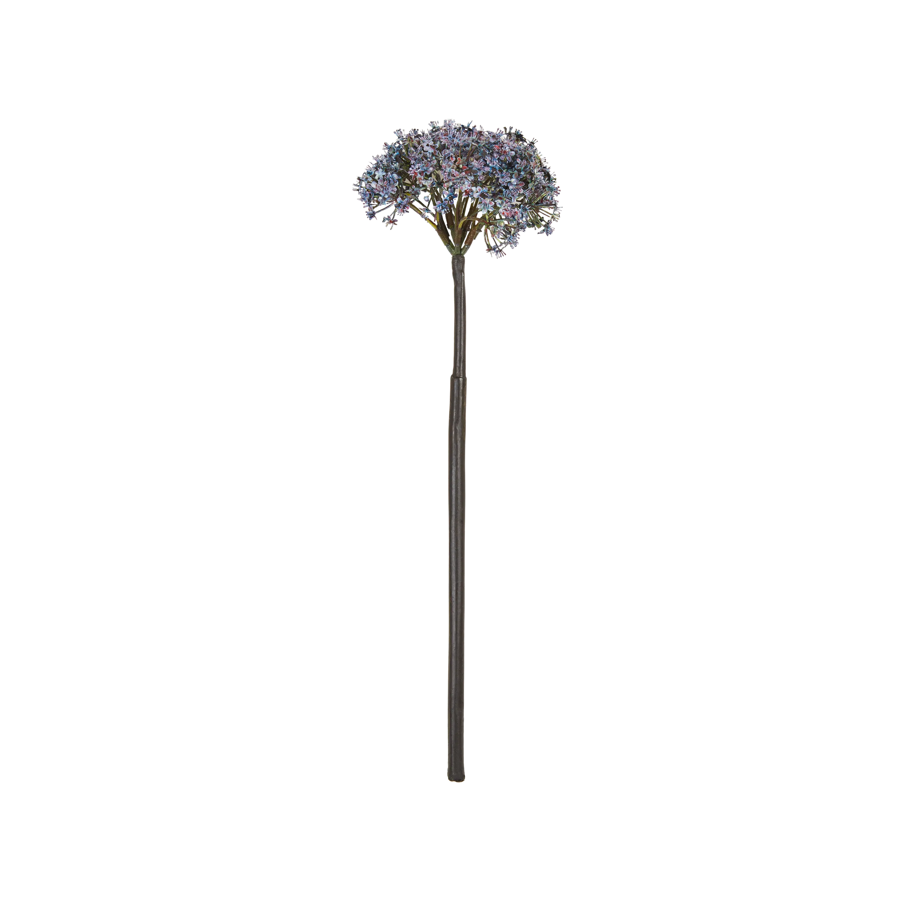 Trachelium Stem
