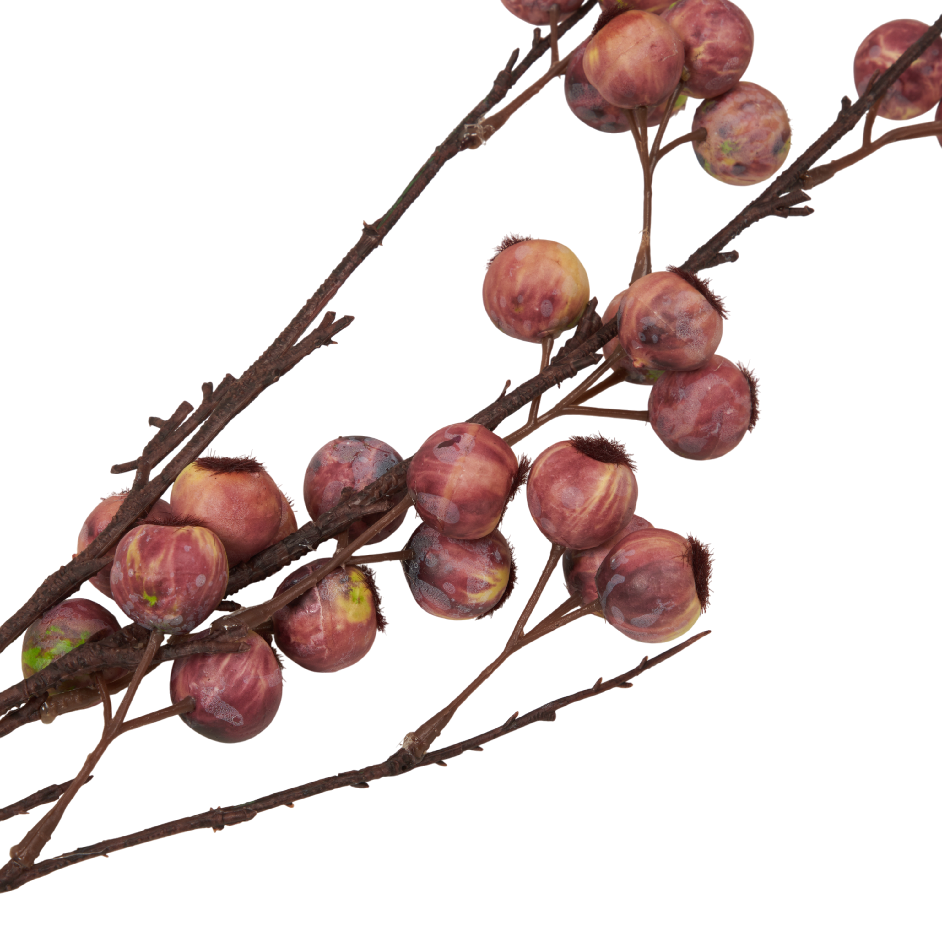 Berry Hawthorn