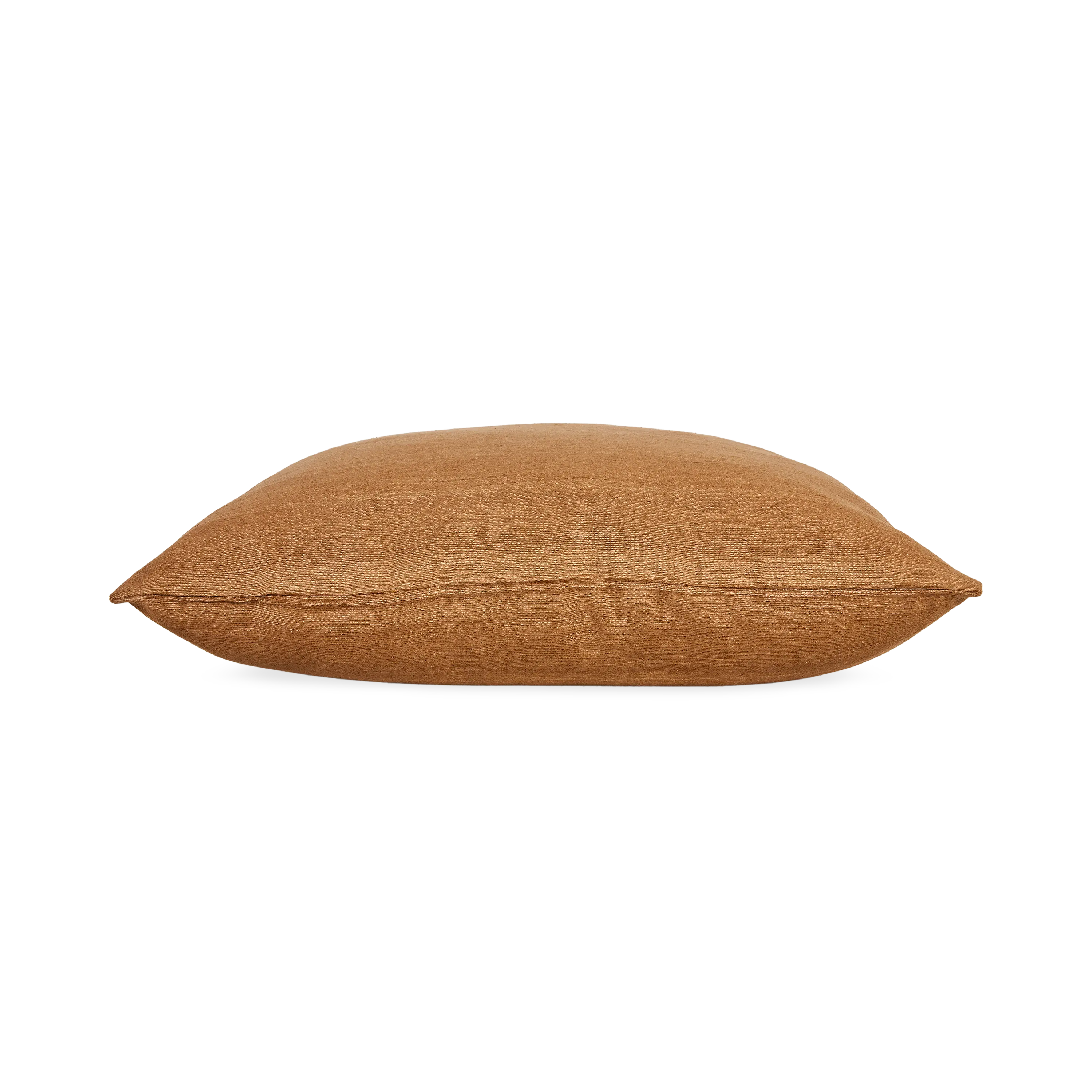Wild Silk Pillow