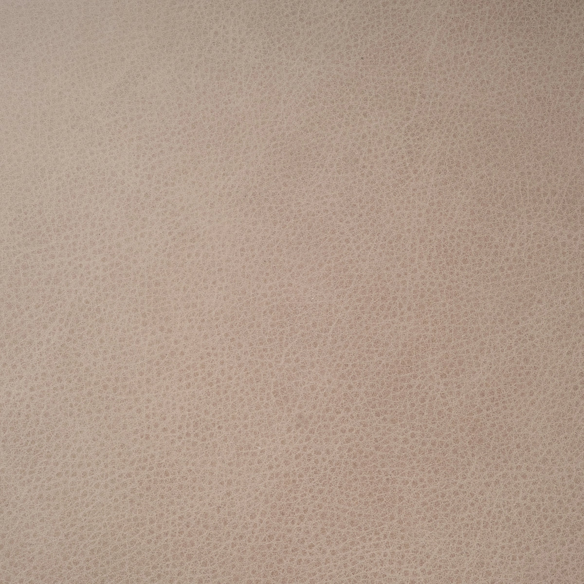 Close-up showing the taupe top grain leather of the Rhodes Arm Chair, with a dense pebbled grain and subtle tonal variation across the surface.