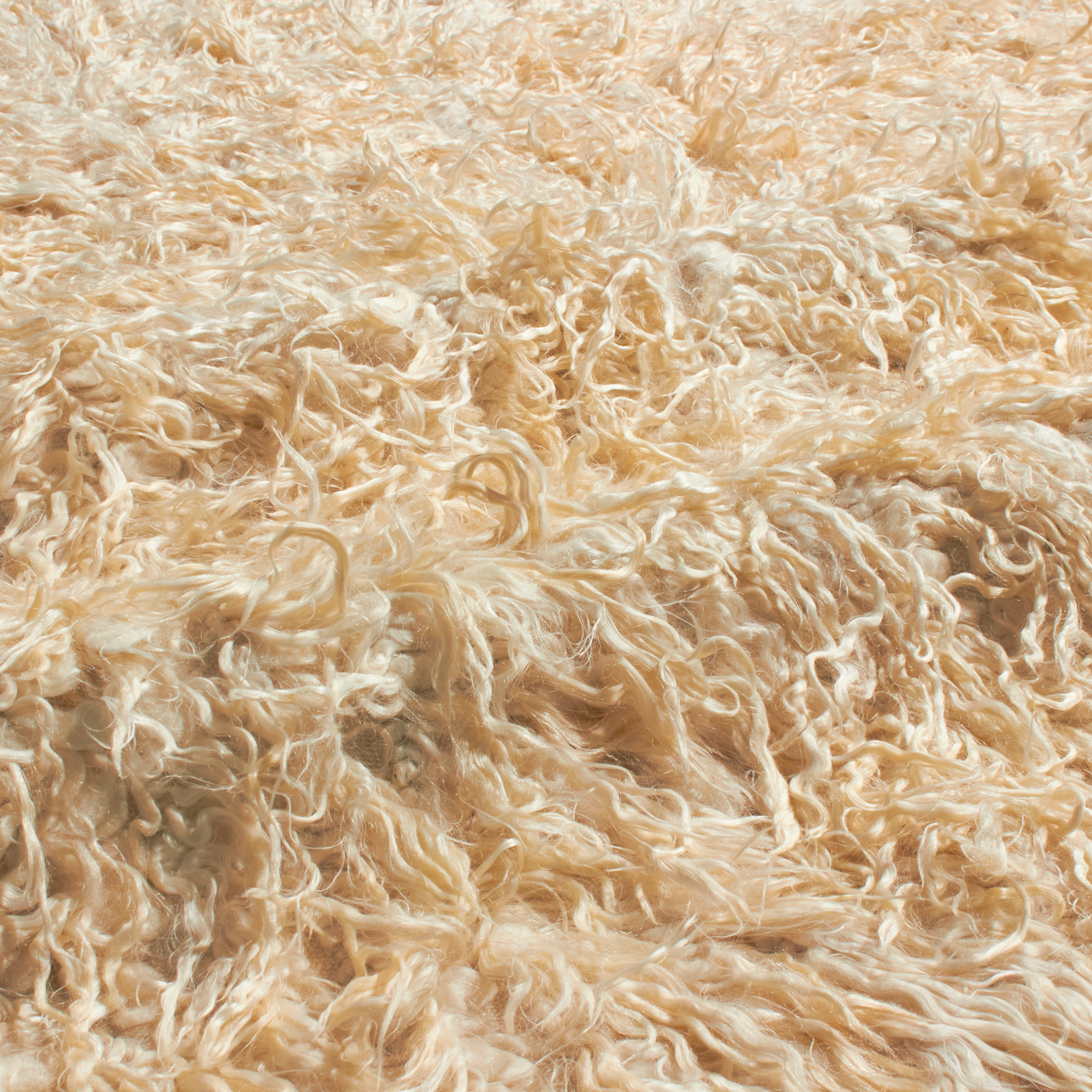 Tulu rugs (pronounced “two-lou”) are thick shaggy silky modern/tribal rugs.