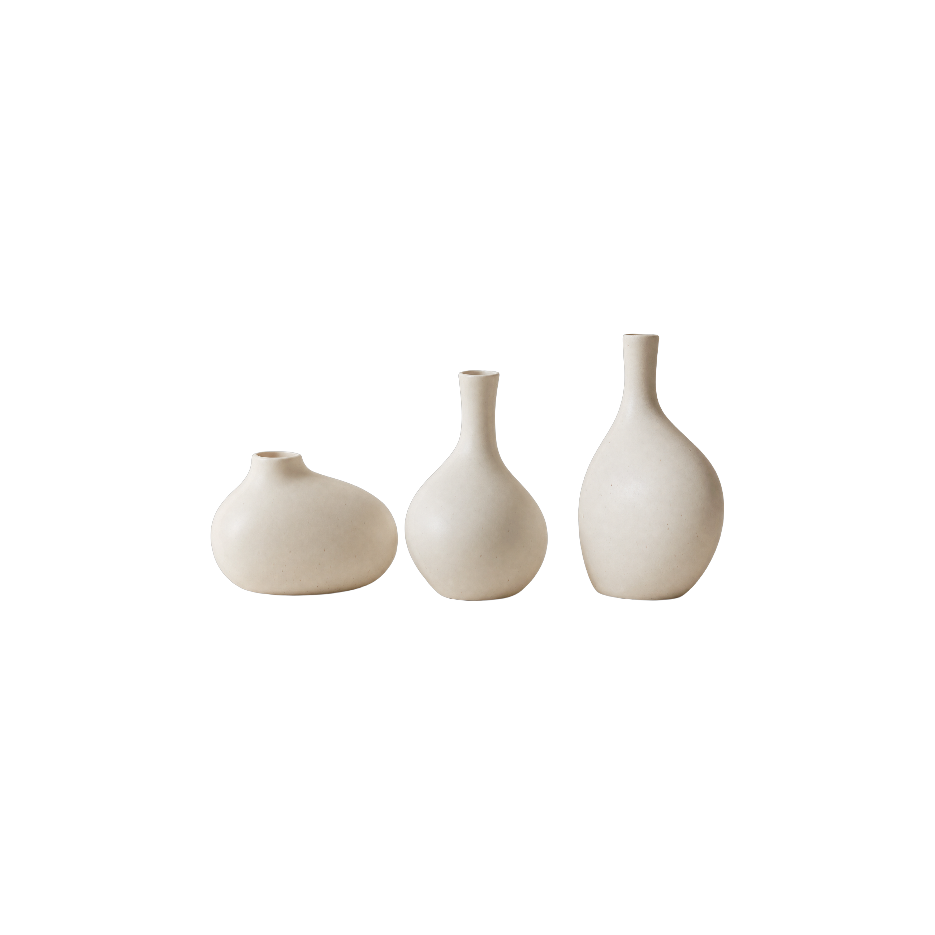 Organic Curve Vase