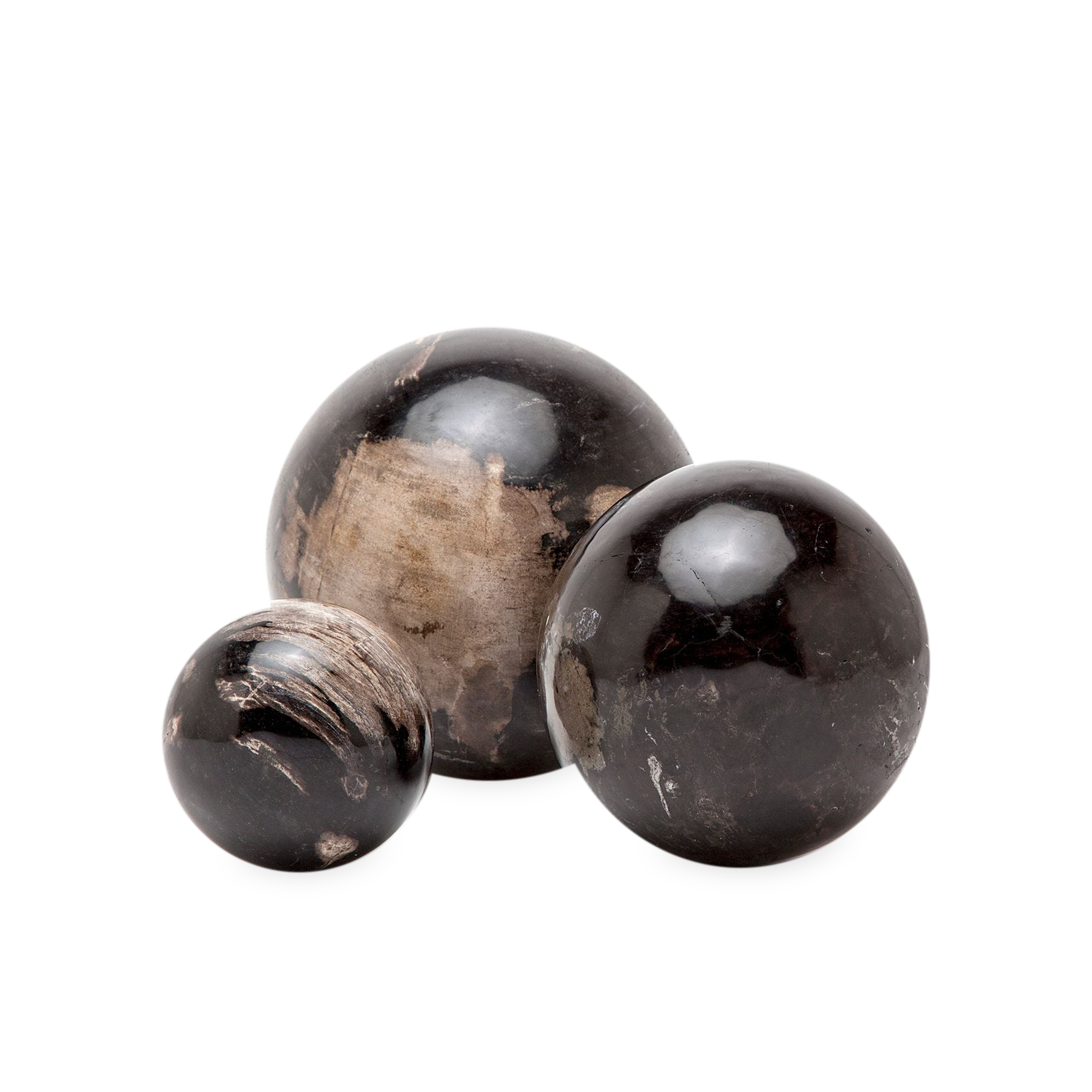 These one-of-a-kind spherical accents are the all-natural results of petrified wood.